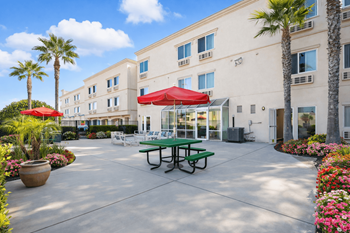 Landscaped courtyard